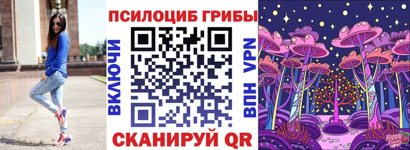 где купить наркоту  Шарья  Галлюциногенные грибы Cubensis 